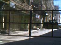 hostello di Deheishe